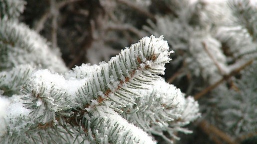 Мокрый снег и гололедица ожидают волгоградцев в Сочельник и Рождество